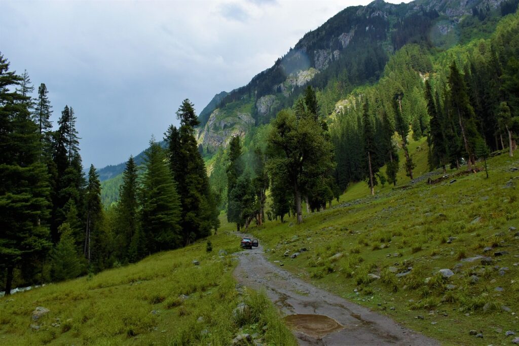 kumrat, jihazabanda, pakistan, dir, nature, beauty, kumrat, kumrat, pakistan, pakistan, pakistan, pakistan, pakistan