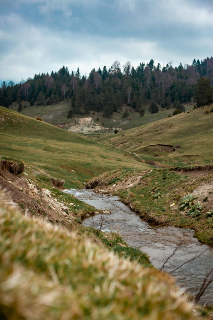 A serene mountain stream flowing through a lush green valley under a cloudy sky.